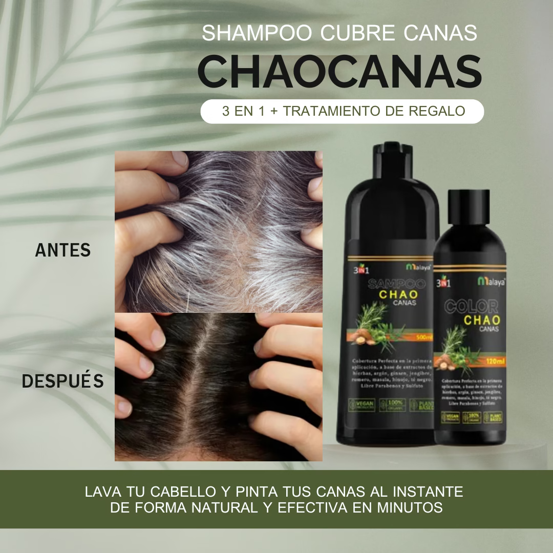 Chao Canas Cafeampolla Obsequio