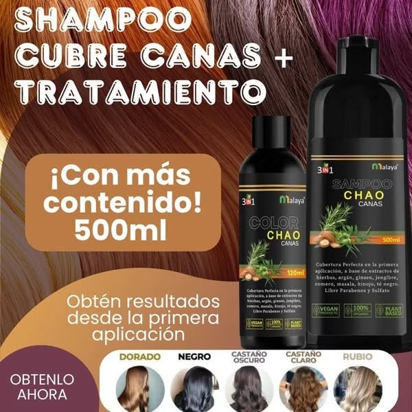 Chao Canas Cafeampolla Obsequio
